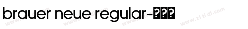 Brauer Neue Regular字体转换